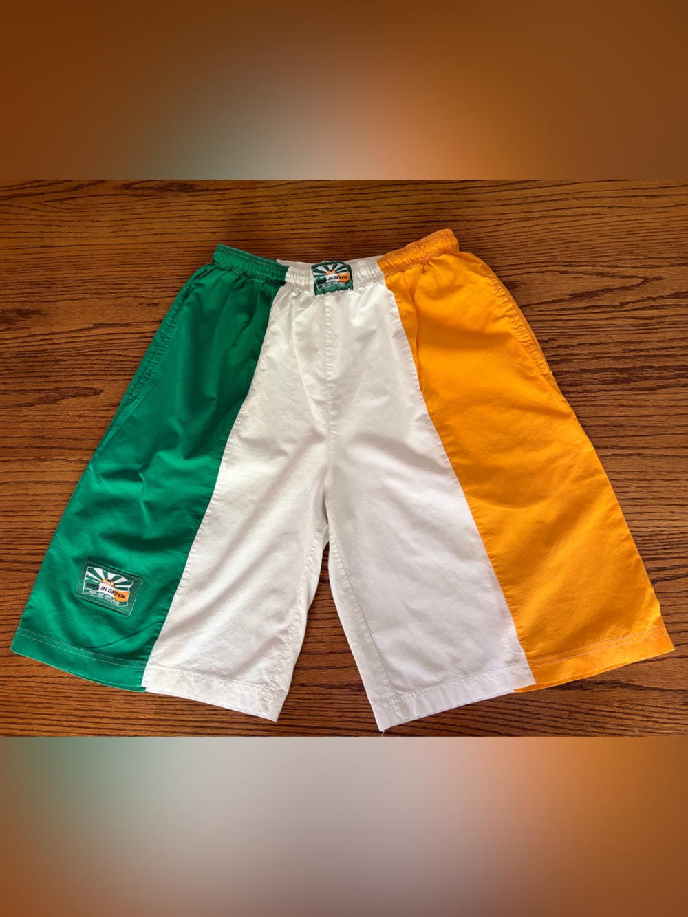 Vintage Irish Flag Shorts - Green, White & Orange - size 32 waist